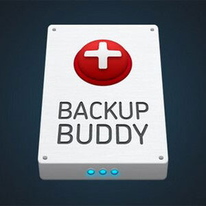 BackupBuddy v9.1.13 Nulled – Back up, restore and move WordPress