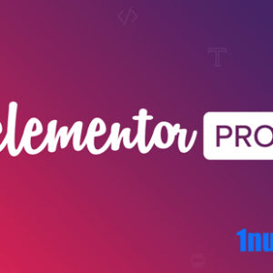 Elementor Pro v3.24.2 Free