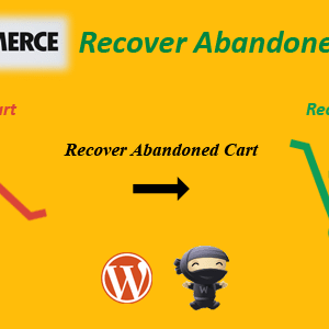 WooCommerce Recover Abandoned Cart v24.0 Free