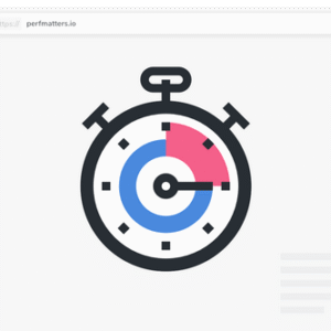 Perfmatters v2.1.4 Nulled – Lightweight Performance Plugin