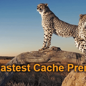 WP Fastest Cache Premium v1.7.1 Free