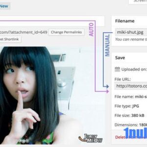 Media File Renamer Pro v5.8.0 Free