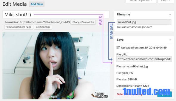 Media File Renamer Pro v5.8.0 Free