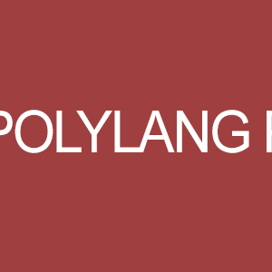 Polylang Pro v3.4.4 Nulled – Multilingual Plugin
