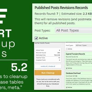 Smart Cleanup Tools v5.3 Nulled – Plugin for WordPress