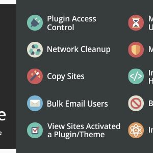 Beyond Multisite v1.17.1 Nulled – Utilities for WordPress Network Admins