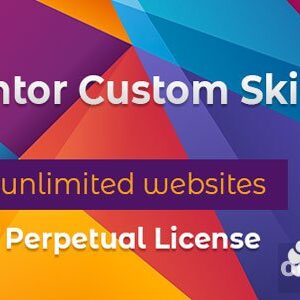 Elementor Custom Skin Pro v3.2.5 Free