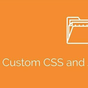 Simple Custom CSS and JS PRO v4.36 Free