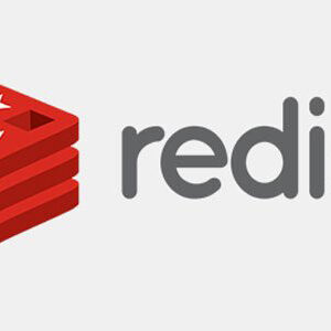 Redis Cache Pro v1.19.0 Free