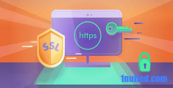 Really Simple SSL Pro v7.2.0 Free