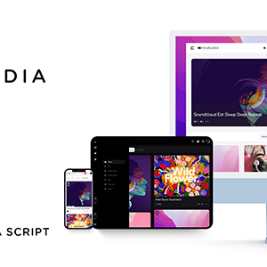 King Media v8.0 Nulled – Viral News Video Magazine