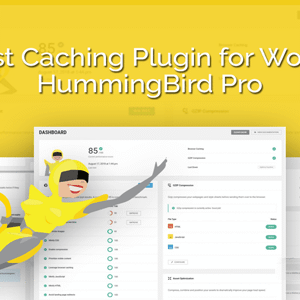 Hummingbird Pro v3.6.0 Nulled – WordPress Plugin