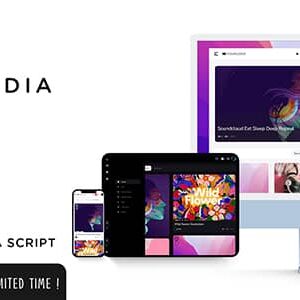 King Media v8.2 Nulled – Viral News Video Magazine