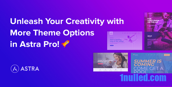 Astra Pro Addon v4.8.4 – Perfect Theme For Any Website Free