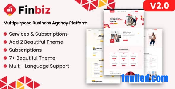 FinBiz v2.0 Nulled - Multipurpose Business Agency Platform