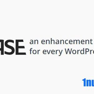Admin and Site Enhancements (ASE) Pro v6.9.10 Free