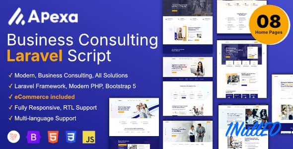 Apexa v1.0.6 Nulled - Multi-Purpose Business Consulting Laravel Script