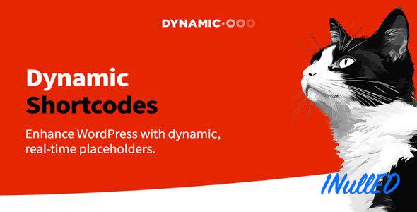 Dynamic Shortcodes v1.5.1 Free