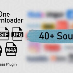 All in One Video Downloader Script v2.4.0 – Nulled Plugin
