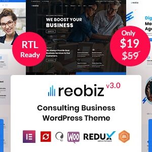 Reobiz v4.9.7 Nulled – Consulting Business WordPress Theme