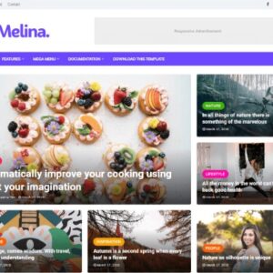 Melina v2.0 Nulled – Professional Fashion Blogger Template
