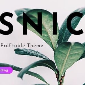 Osnic v3.0.0 Nulled – Adsense WordPress Theme