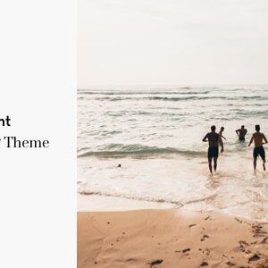 Once v1.2.5 Nulled – Clean & Elegant WordPress Blog Theme