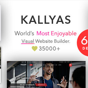 KALLYAS v4.19.5 Nulled – Responsive Multi-Purpose Theme
