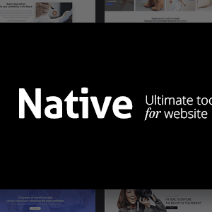 Native v1.6.8 Nulled – Stylish Multi-Purpose Creative WP Theme
