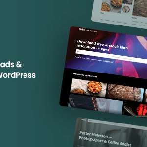 Heilz v2.0.1 Nulled – Digital Downloads & Marketplace WordPress Theme