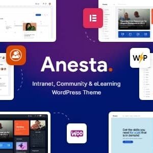 Anesta v1.1.1 Nulled – Intranet, Extranet, Community and BuddyPress WordPress Theme