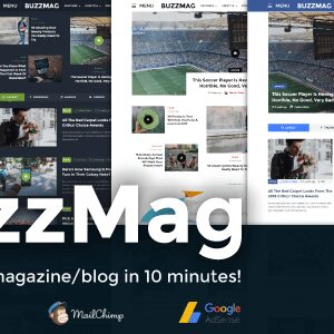 BuzzMag v2.3 Nulled – Viral News WordPress Magazine/Blog Theme