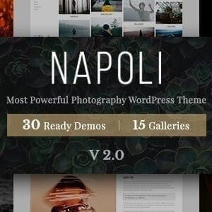 Napoli v2.4.1 Nulled – Photography WordPress