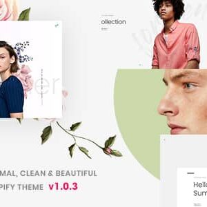 Ciloe v1.0.3 Nulled – Minimal, Clean & Beautiful Shopify Theme