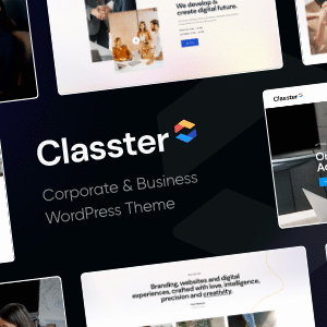Classter v3.0 Nulled – A Colorful Multi-Purpose WordPress Theme