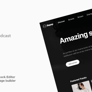 Bepop v1.1.2 Nulled – Non-stop Music WordPress Theme