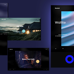 Blackoid v2.0.4 Nulled – Creative Portfolio Theme