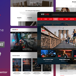 Vividly v1.5.4 Nulled – Video Blog WordPress Theme