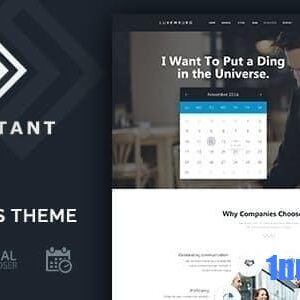 Consultant v1.1.7 Nulled – WordPress Theme
