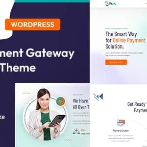 Repay v1.0 Nulled – Payment Gateway WordPress Theme