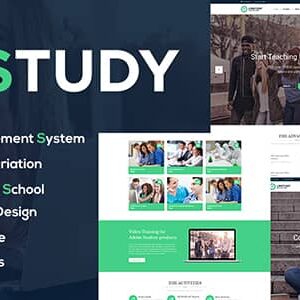 LMStudy v2.1 Nulled – Education LMS WooCommerce Theme