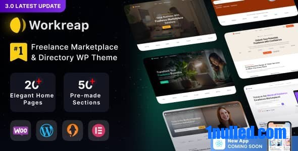 Workreap v3.2.4 Nulled - Freelance Marketplace WordPress Theme