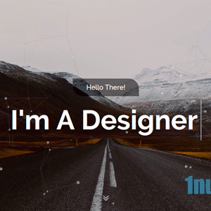 Zenon Nulled – Portfolio Template