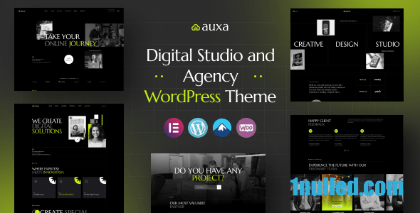 Auxa v1.0.0 Nulled - Digital Studio and Agency WordPress Theme