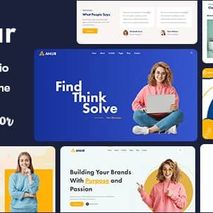 Anur v1.0.4 Nulled – Portfolio WordPress Theme