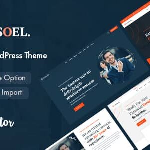 Consoel v1.0.2 Nulled – Consulting Business WordPress Theme