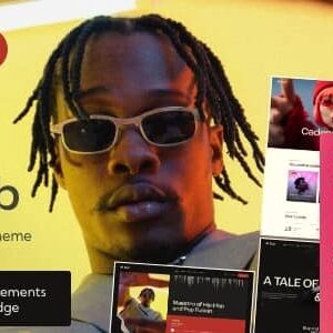 Dub v1.0 Nulled – Music WordPress Theme