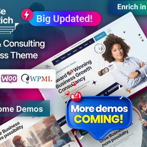 Berich v1.0.4 Nulled – Consulting Corporate WordPress Theme