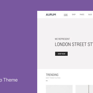 Aurum v4.0.1 Nulled – Minimalist Shopping Theme