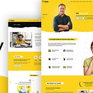 Owly v2.8 Nulled – Tutor, Training WordPress, elearning Theme